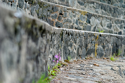 West Trail Rock Walls